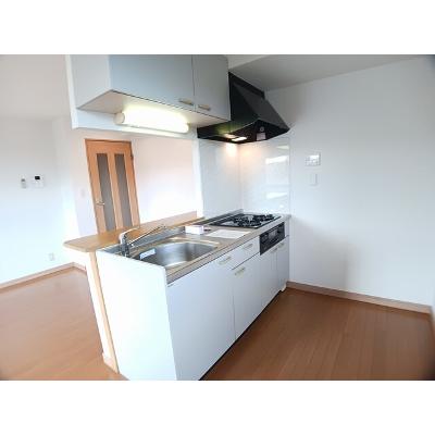 ジャパン・ビレッジイースト 301【管理NO：1-099297001-03010】 ★家具家電は申し込み後に搬入します★ ★2026年10月中旬入居可能★の物件写真3