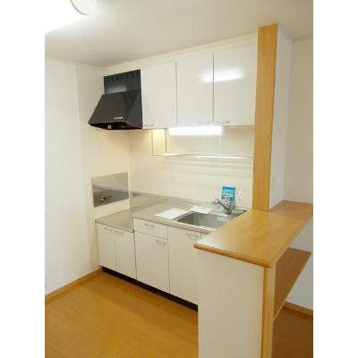 ヴィラ　グレイスフル　Ⅰ 203【管理NO：1-013759001-02030】 ★家具家電は申し込み後に搬入します★ ★2026年11月中旬入居可能★の物件写真3
