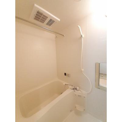 セントレージ今之浦 207【管理NO：1-012127801-02060】 ★家具家電は申し込み後に搬入します★ ★2026年10月中旬入居可能★の物件写真4