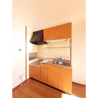 グレイスハイム　Ⅰ 202【管理NO：1-010499801-02020】 ★家具家電は申し込み後に搬入します★ ★2026年11月中旬入居可能★の物件写真3