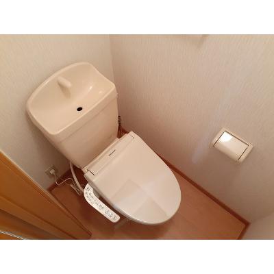 ＰＥＡＣＥ 201【管理NO：1-012066301-02010】 ★家具家電は申し込み後に搬入します★ ★2026年11月上旬入居可能★の物件写真5