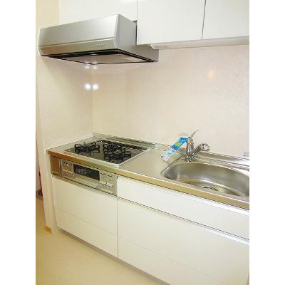 ライジング・サン 403【管理NO：1-017559501-04030】 ★家具家電は申し込み後に搬入します★ ★2026年10月下旬入居可能★の物件写真3