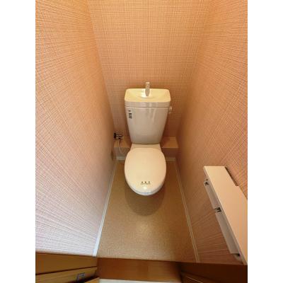 TR枚方２【ネット無料・室内大規模改装・新規OPEN・関西医大病院まで徒歩9分・淀川河川公園まで徒歩2分】の物件写真5