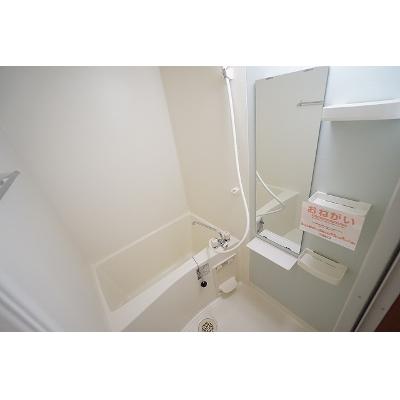 メゾン・カメリア 307【管理NO：1-013822201-03060】 ★家具家電は申し込み後に搬入します★ ★2026年10月下旬入居可能★の物件写真4
