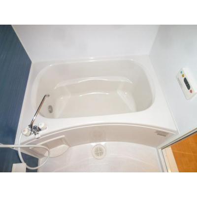 ラ・ロマ－ネ　Ⅱ 201【管理NO：1-016160002-02010】 ★家具家電は申し込み後に搬入します★ ★2026年11月下旬入居可能★の物件写真4