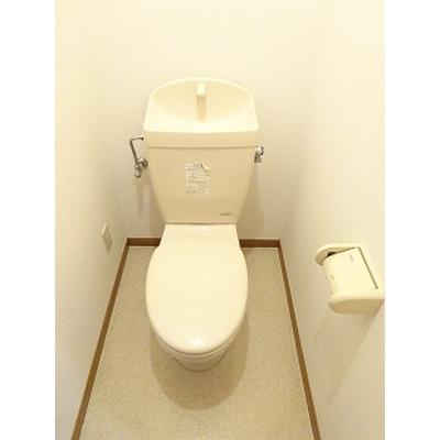 サンヒルズ柏Ｂ 201【管理NO：1-010212502-02010】 ★家具家電は申し込み後に搬入します★ ★2026年10月下旬入居可能★の物件写真5