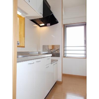 シエーネ玉川 307【管理NO：1-014610301-03060】 ★家具家電は申し込み後に搬入します★ ★2026年10月中旬入居可能★の物件写真3