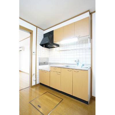 レジデンスウッズⅠ 102【管理NO：1-011087901-01020】 ★家具家電は申し込み後に搬入します★ ★2026年12月中旬入居可能★の物件写真3