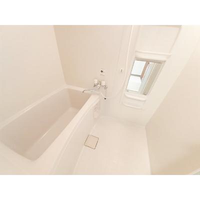 コンパーノＢ 101【管理NO：1-012645102-01010】 ★家具家電は申し込み後に搬入します★ ★2026年10月中旬入居可能★の物件写真4