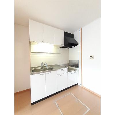 ラフィナート　カメリア 102【管理NO：1-014857402-01020】 ★家具家電は申し込み後に搬入します★ ★2026年11月上旬入居可能★の物件写真3