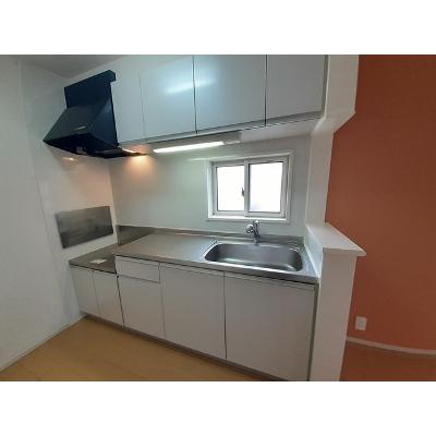 エルミタージュ蓮 203【管理NO：1-018294801-02030】 ★家具家電は申し込み後に搬入します★ ★2026年10月下旬入居可能★の物件写真3