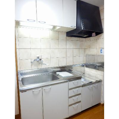 グランテソール 303【管理NO：1-099187701-03030】 ★家具家電は申し込み後に搬入します★の物件写真3