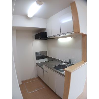 レオ・レグルス 102【管理NO：1-018349001-01020】 ★家具家電は申し込み後に搬入します★の物件写真3