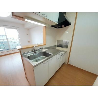 セント・イリスⅡ 203【管理NO：1-013662102-02030】 ★家具家電は申し込み後に搬入します★ ★2026年11月上旬入居可能★の物件写真3