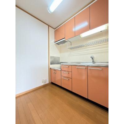 ハイファイン藤 201【管理NO：1-012769901-02010】 ★家具家電は申し込み後に搬入します★の物件写真3