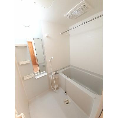 パークアヴェニュー 203【管理NO：1-014274301-02030】 ★家具家電は申し込み後に搬入します★ ★2026年11月中旬入居可能★の物件写真4