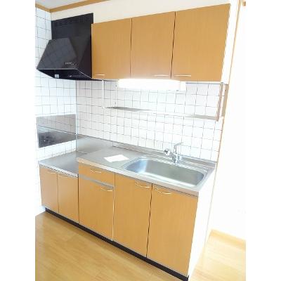 メゾン・ド・ラフィネ 204【管理NO：1-012300001-02040】 ★家具家電は申し込み後に搬入します★ ★2026年11月上旬入居可能★の物件写真3