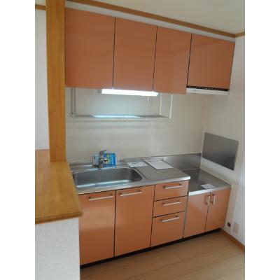 Ｎ＆ＹアベニューＥ 203【管理NO：1-012383205-02030】 ★家具家電は申し込み後に搬入します★の物件写真3