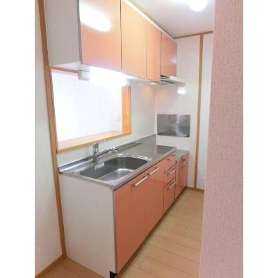 フォレスタ　ロヴィーネ　１ 201【管理NO：1-013579301-02010】 ★家具家電は申し込み後に搬入します★ ★2026年10月下旬入居可能★の物件写真3