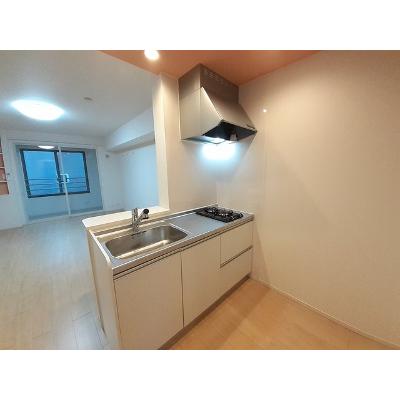Ｈｏｐｅ　Ｈｉｌｌ 205【管理NO：1-024080601-02050】 ★家具家電は申し込み後に搬入します★ ★2026年11月中旬入居可能★の物件写真3