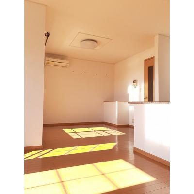 プラシード 205【管理NO：1-014204201-02040】 ★家具家電は申し込み後に搬入します★ ★2026年10月中旬入居可能★の物件写真2