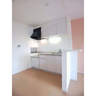 シャイニング　ルーチェ 203【管理NO：1-020892401-02030】 ★家具家電は申し込み後に搬入します★ ★2026年11月中旬入居可能★の物件写真3