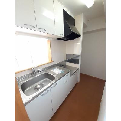 パラッツォ津島 307【管理NO：1-013966201-03060】 ★家具家電は申し込み後に搬入します★ ★2026年11月中旬入居可能★の物件写真3