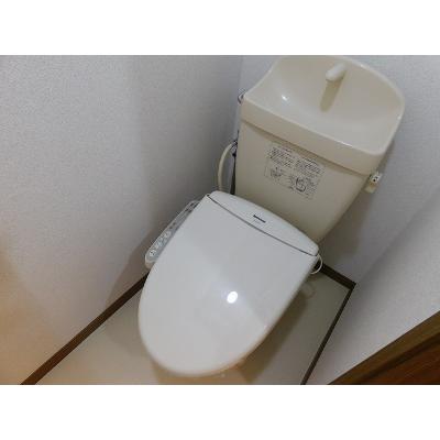 サン・アベニューＡ 203【管理NO：1-011079701-02030】 ★家具家電は申し込み後に搬入します★ ★2026年11月上旬入居可能★の物件写真5
