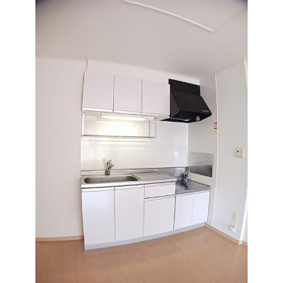 カーサ　プラシード 203【管理NO：1-016129101-02030】 ★家具家電は申し込み後に搬入します★ ★2027年01月下旬入居可能★の物件写真3