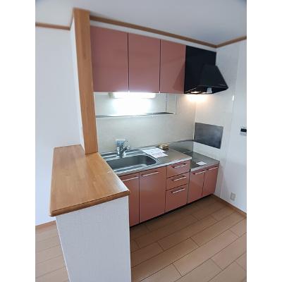 レジデント１０８４ 201【管理NO：1-012606201-02010】 ★家具家電は申し込み後に搬入します★ ★2026年11月上旬入居可能★の物件写真3