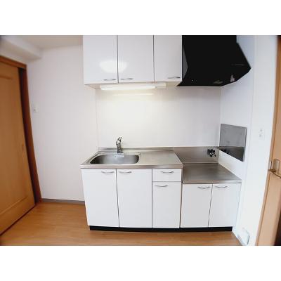 アルドール白石 203【管理NO：1-015141801-02030】 ★家具家電は申し込み後に搬入します★ ★2026年11月下旬入居可能★の物件写真3