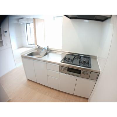ファミール柏井 205【管理NO：1-025020301-02040】 ★家具家電は申し込み後に搬入します★ ★2026年10月中旬入居可能★の物件写真3