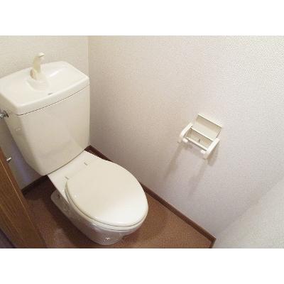 Ｃｏｕｒｔ　Ｌｉｖｅｌｙ 202【管理NO：1-009757501-02020】 ★家具家電は申し込み後に搬入します★ ★2026年11月中旬入居可能★の物件写真5