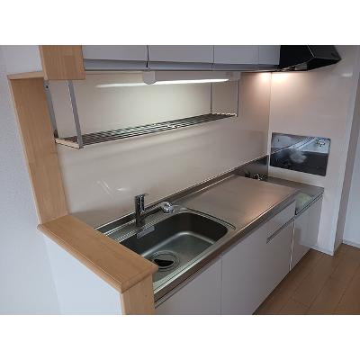 ヴィンヤード甲州 203【管理NO：1-017262101-02030】 ★家具家電は申し込み後に搬入します★の物件写真3