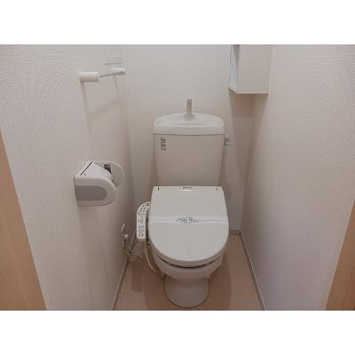 カトレア 203【管理NO：1-017266801-02030】 ★家具家電は申し込み後に搬入します★ ★2026年11月中旬入居可能★の物件写真5
