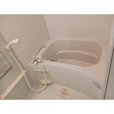 プラシード 201【管理NO：1-012436501-02010】 ★家具家電は申し込み後に搬入します★ ★2026年11月中旬入居可能★の物件写真4