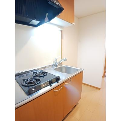 セレブパレス 202【管理NO：1-015112301-02020】 ★家具家電は申し込み後に搬入します★の物件写真3