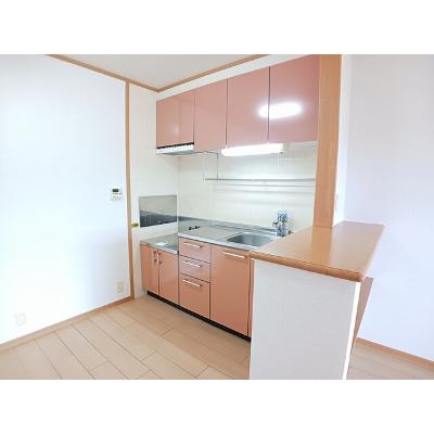 ブルーベリー・ガーデンＣ 202【管理NO：1-013391403-02020】 ★家具家電は申し込み後に搬入します★ ★2026年11月中旬入居可能★の物件写真3