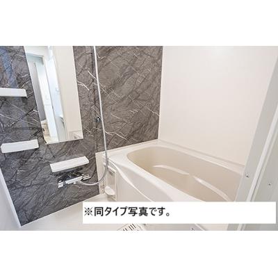 レグルス・コート 201【管理NO：1-028886001-02010】 ★家具家電は申し込み後に搬入します★ ★2027年02月上旬入居可能★の物件写真4