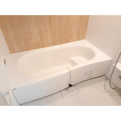 Ｓｏｌａｎａ３ 202【管理NO：1-026922901-02020】 ★家具家電は申し込み後に搬入します★ ★2026年11月中旬入居可能★の物件写真4