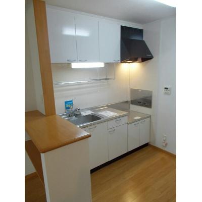 プレシャス 201【管理NO：1-013567001-02010】 ★家具家電は申し込み後に搬入します★ ★2026年11月中旬入居可能★の物件写真3