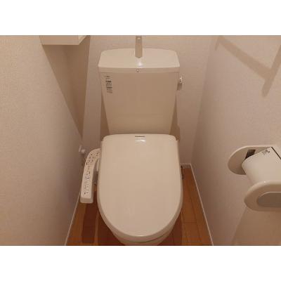 メゾンビューⅢ 202【管理NO：1-018616101-02020】 ★家具家電は申し込み後に搬入します★ ★2026年10月下旬入居可能★の物件写真5