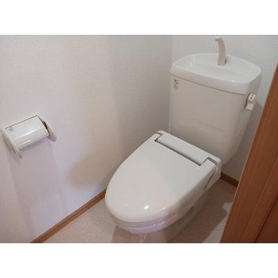 サンシャイン　ヴィラ 201【管理NO：1-013421501-02010】 ★家具家電は申し込み後に搬入します★ ★2026年11月中旬入居可能★の物件写真5