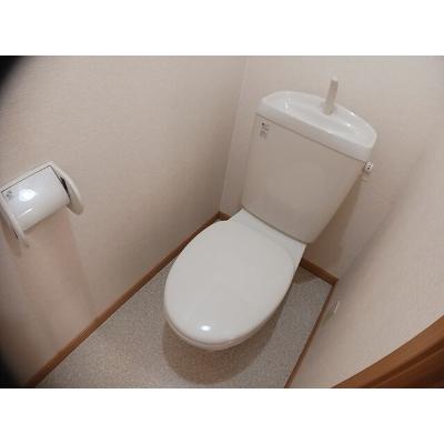 ブリック　メゾン　金剛 203【管理NO：1-012555701-02030】 ★家具家電は申し込み後に搬入します★ ★2026年11月中旬入居可能★の物件写真5