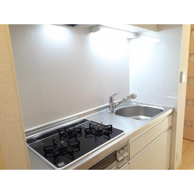 ヴェルファーレ　Ⅲ 303【管理NO：1-020462302-03030】 ★家具家電は申し込み後に搬入します★の物件写真3