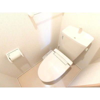 メゾン　エタニティⅡ 201【管理NO：1-019555401-02010】 ★家具家電は申し込み後に搬入します★ ★2026年12月中旬入居可能★の物件写真5
