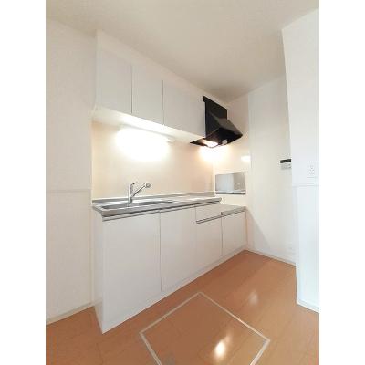 ルース 102【管理NO：1-020068301-01020】 ★家具家電は申し込み後に搬入します★ ★2026年12月下旬入居可能★の物件写真3