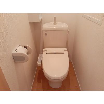 ネクステージ　Ⅱ 203【管理NO：1-016691802-02030】 ★家具家電は申し込み後に搬入します★ ★2026年11月下旬入居可能★の物件写真5