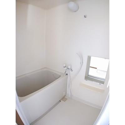 シーライト 203【管理NO：1-004720801-02030】 ★家具家電は申し込み後に搬入します★ ★2026年12月中旬入居可能★の物件写真4