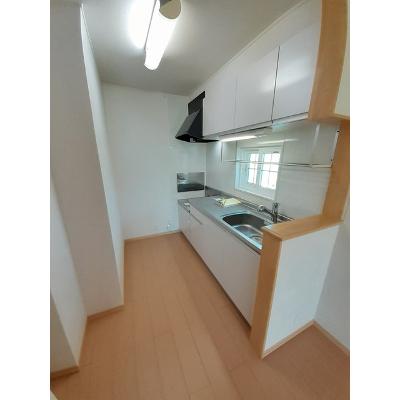 ロータス・ミカド 201【管理NO：1-016246101-02010】 ★家具家電は申し込み後に搬入します★ ★2026年11月中旬入居可能★の物件写真3